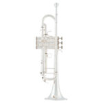 Trompet Arnolds & Sons ATR-8837GS