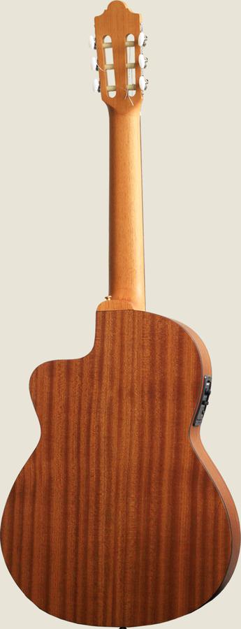 cut-eco_back