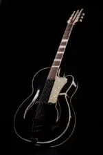 Jazz Guitar ISANA Black Bearl